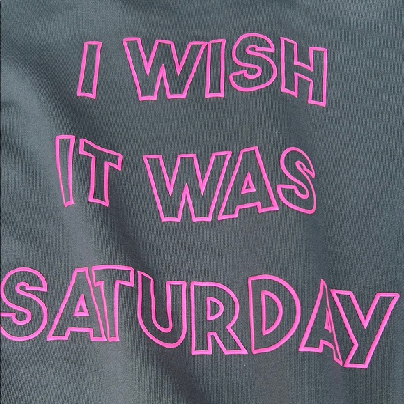 Wildfox Gray and Pink Sweatshirt Casual Comfort - Picture 7 of 11